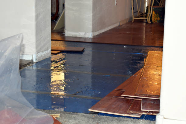 Professional Basement Flood Cleanup technician working in Toledo, WA